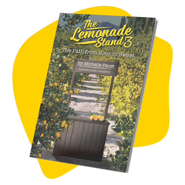 The Lemonade Stand 3