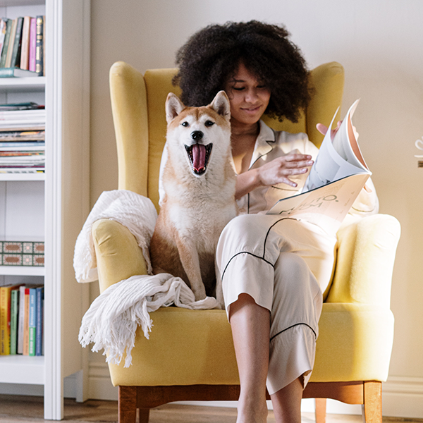 A woman sitting on a yellow chair with her dog, reading a magazine